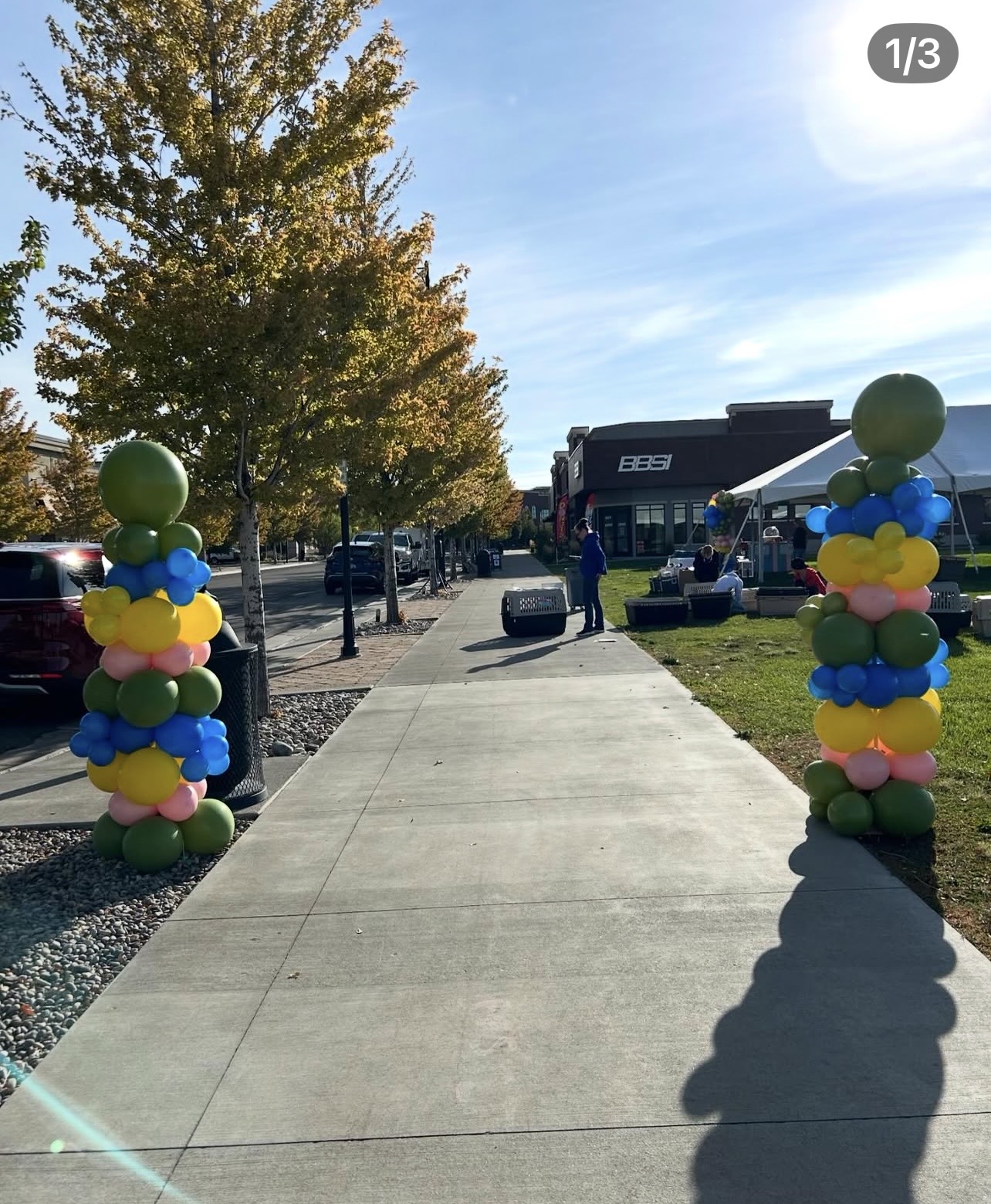 Balloon columns lining the walkway outside a business